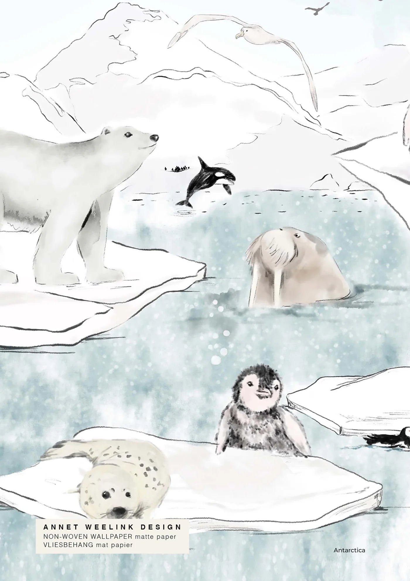 Dieren Behang - Antarctica