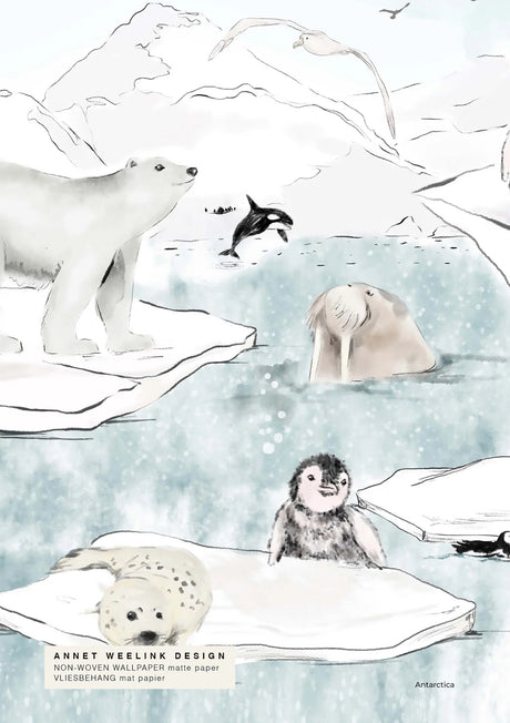 Dieren Behang - Antarctica