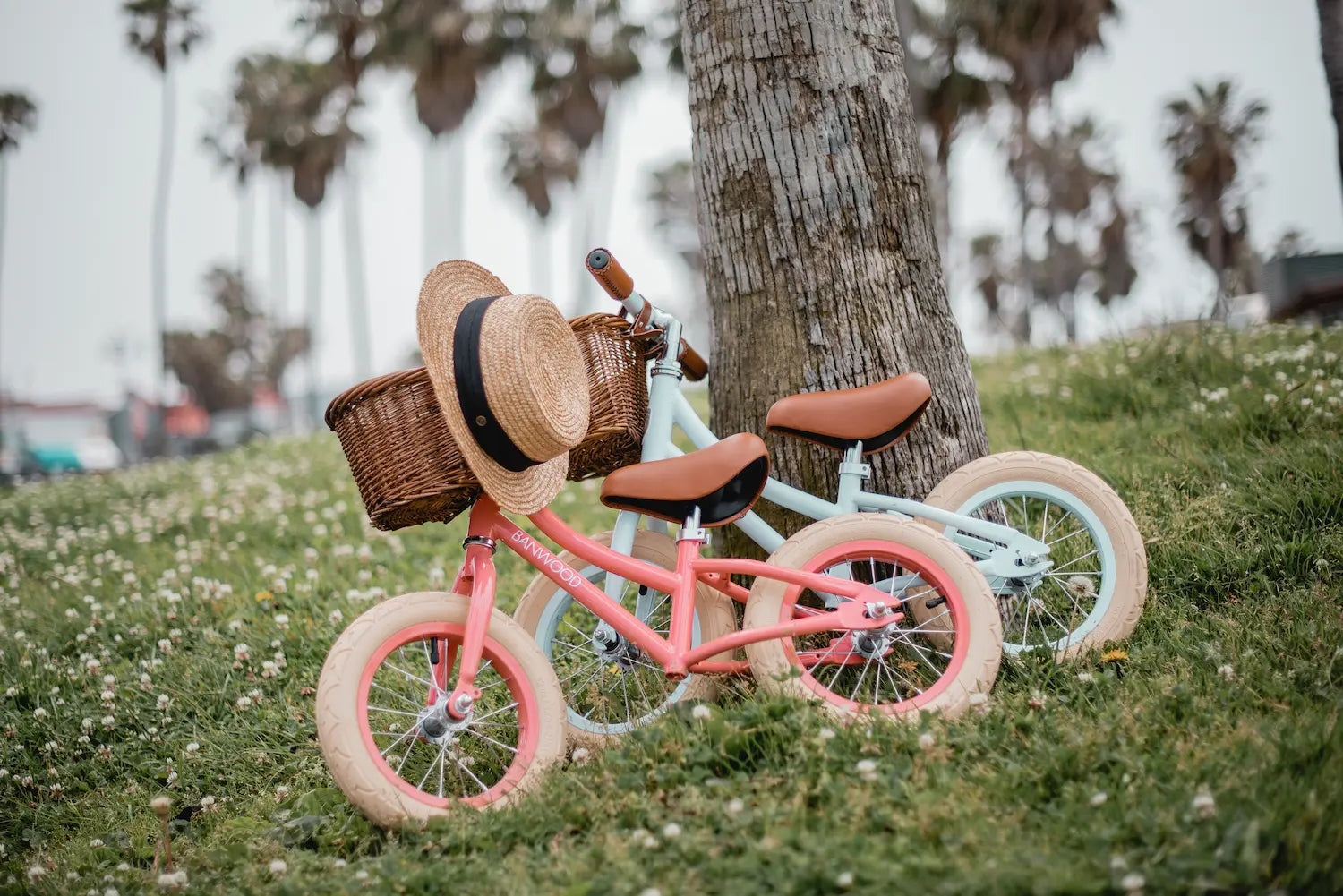 Loopfiets voor peuters van het merk Banwood