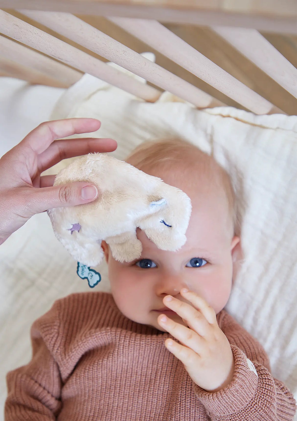 Kaloo knuffeltje met koelelement voor baby's