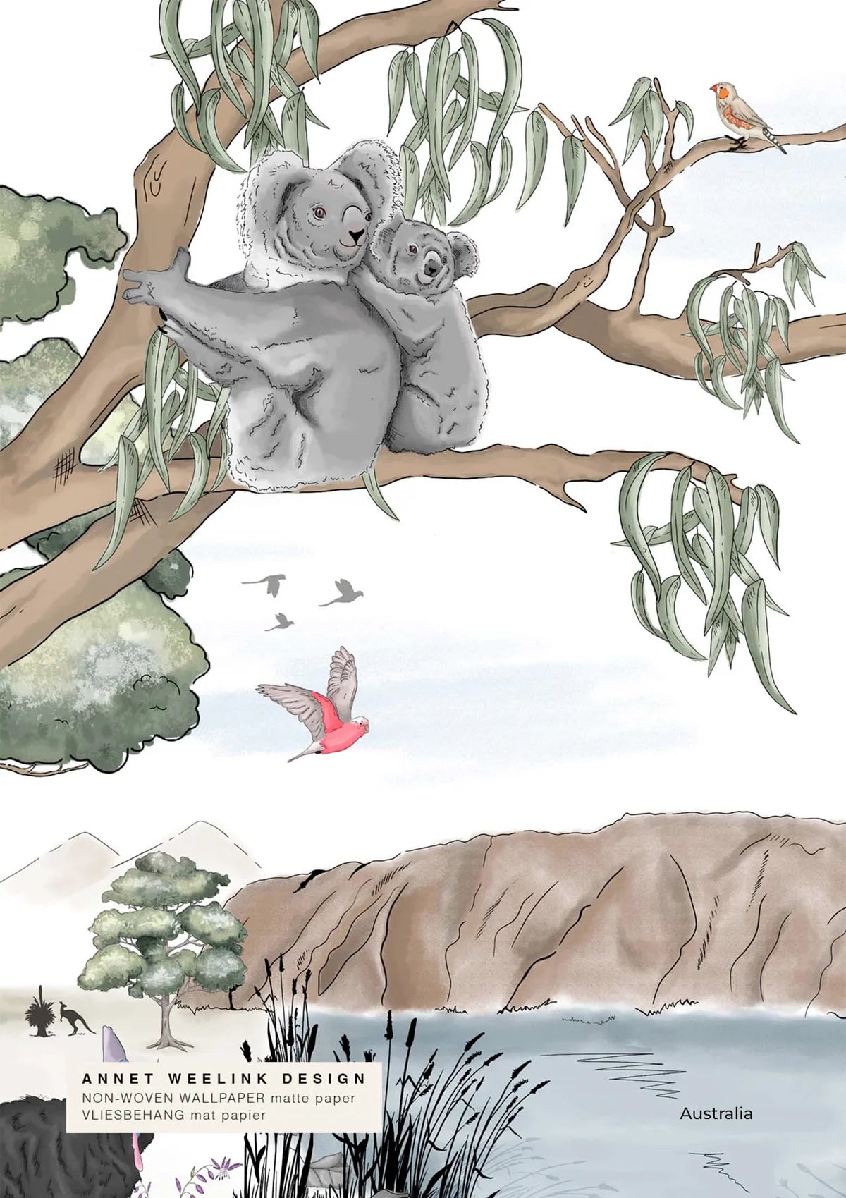 Koala Behang - Australië