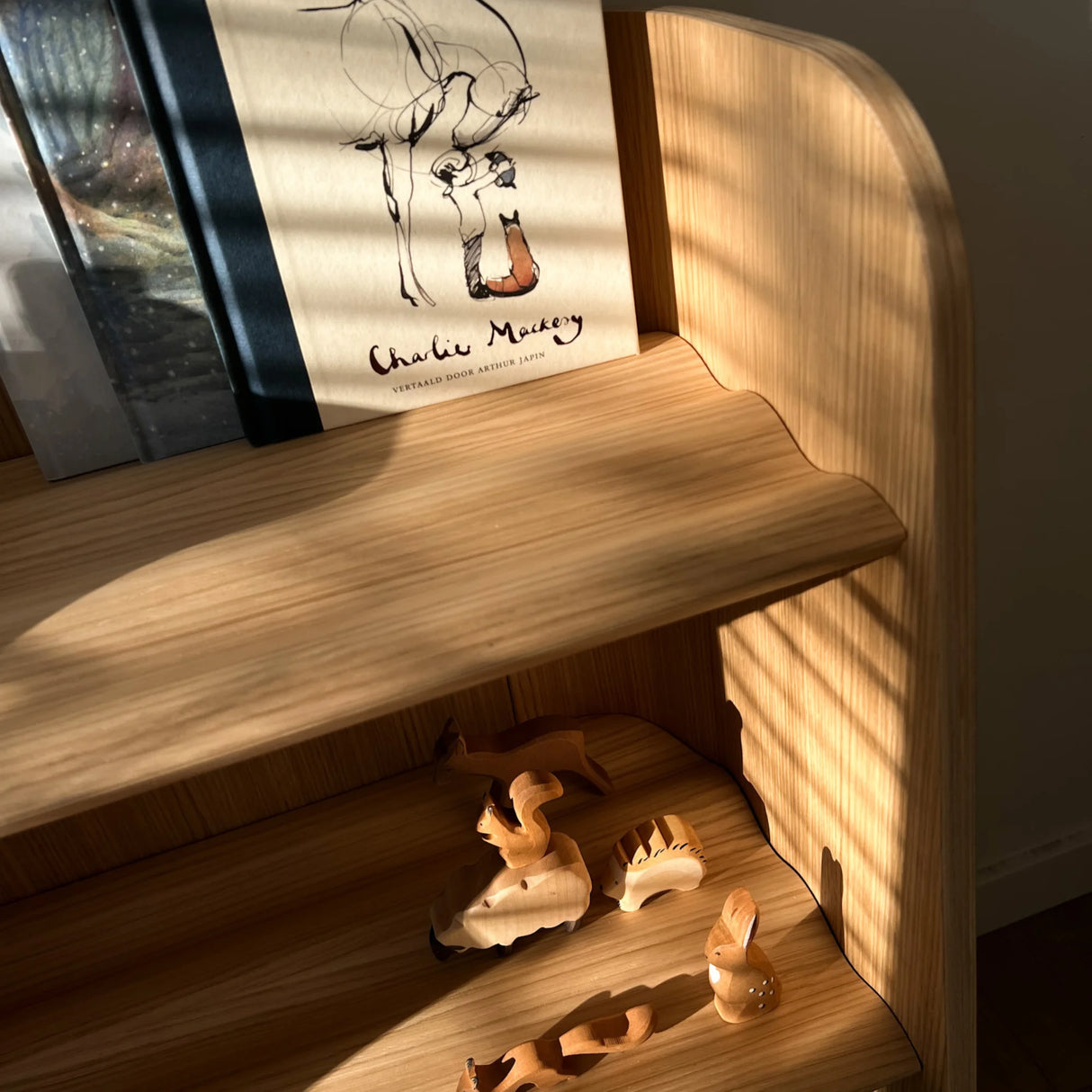 Boekenkast - Curvy bookcase