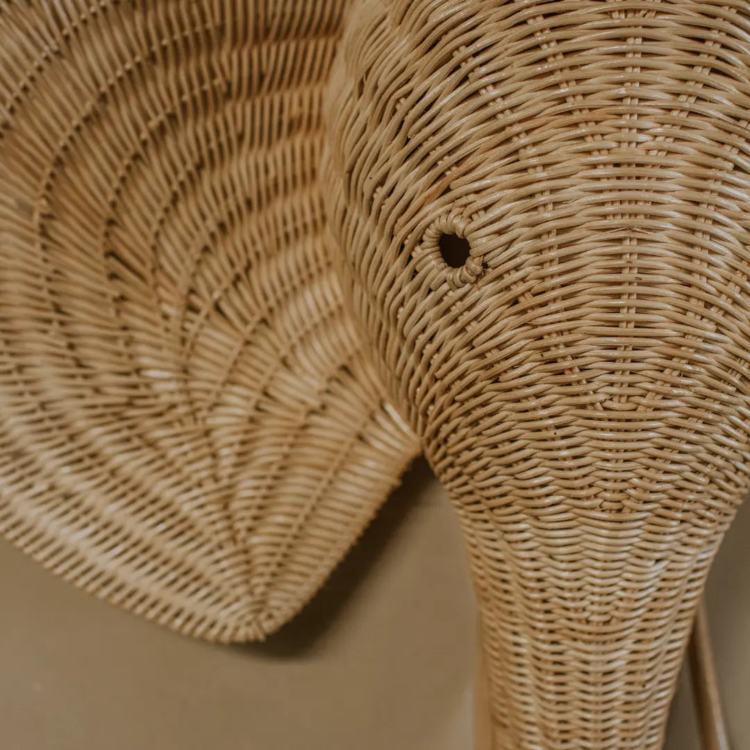 Rotan olifantenkop Studio Wildflower