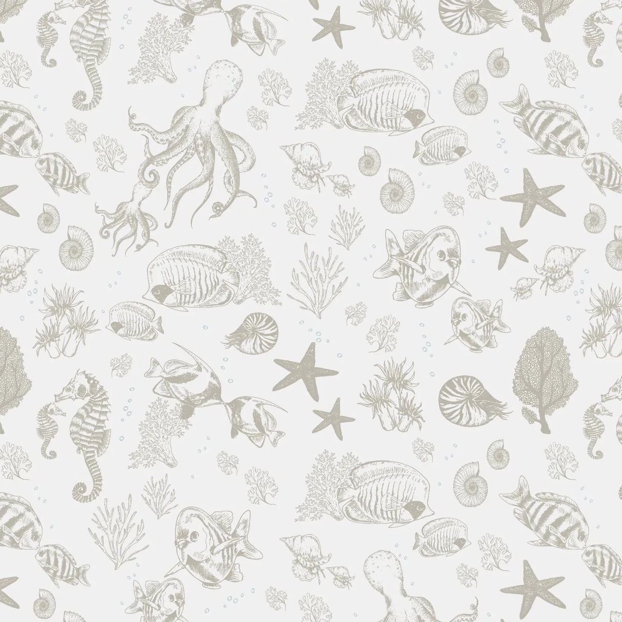 Little Amour Underwater world bruin