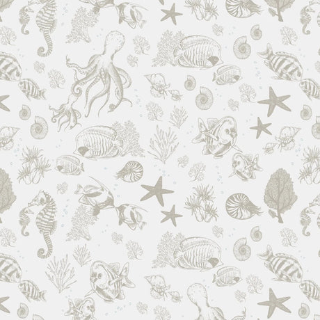 Little Amour Underwater world bruin