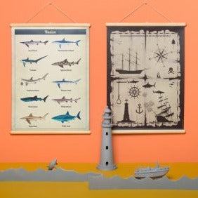 Schoolplaat Haaien voor kinderen