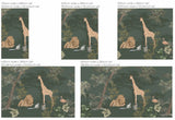 Jungle Behang - Safari Mooz