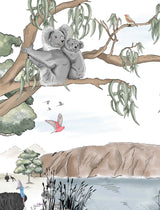 Koala Behang - Australië