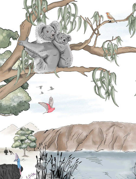 Koala Behang - Australië